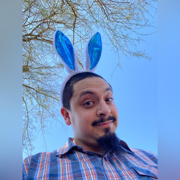 Meet your Posher, Oscar - Picture 2 of 10